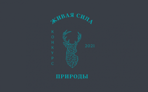 Приглашаем принять участие во Всероссийском конкурсе  «Живая сила природы»