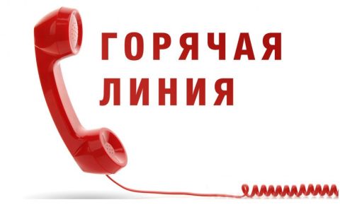 В РГУТИС начинает работу «горячая линия»