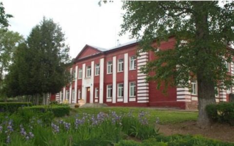 Представители Высшей школы бизнеса, менеджмента и права провели открытые консультации в школах Городского округа Пушкинский