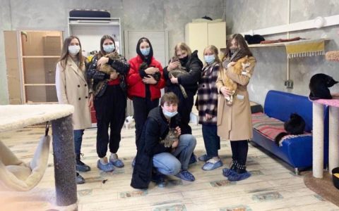 Наш кошкин дом: волонтеры РГУТИС помогают приютам для животных