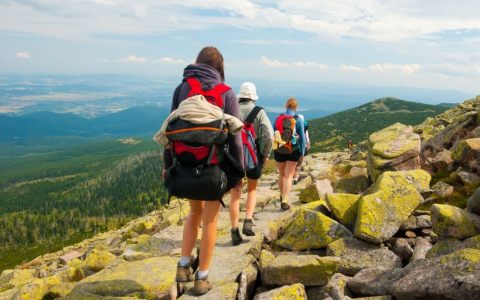 РГУТИС: дополнительное образование востребовано профессионалами туризма